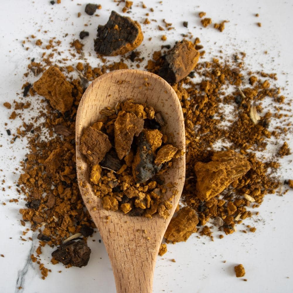Chaga Mushrooom - Image 2