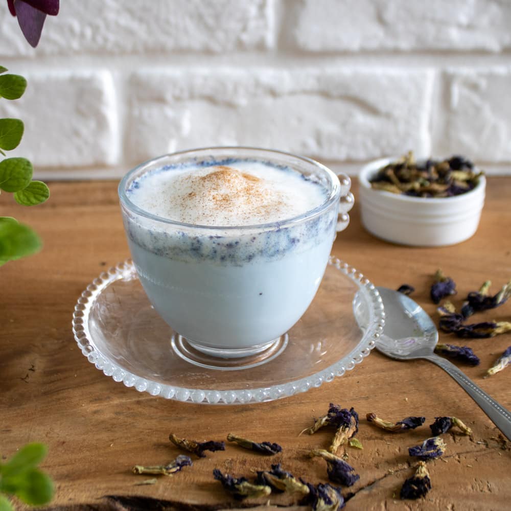 Butterfly Pea Flower - Image 3