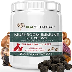 Mushroom Immune Pet Chews