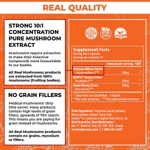 RealBoost - Cordyceps, Guayusa and Ginseng