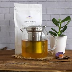 Pyxis Glass Teapot 20oz