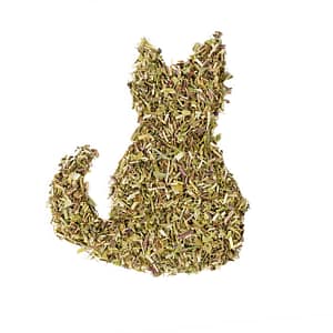 Catnip