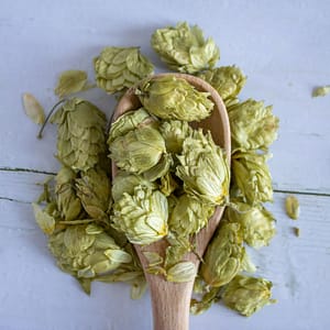 Hops Flowers