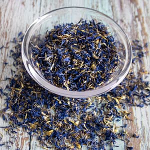 Cornflowers, Blue Petals