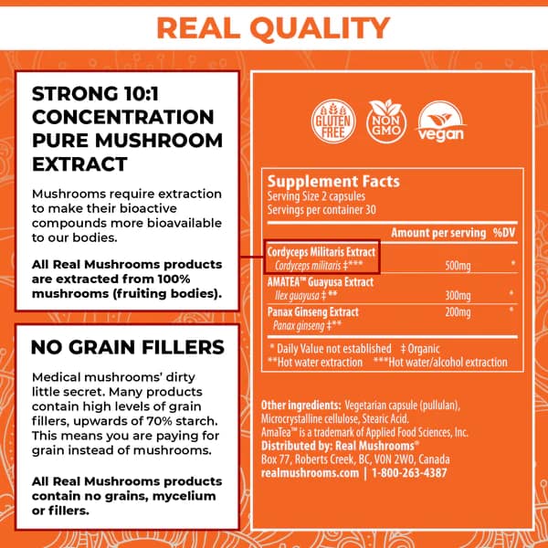 RealBoost - Cordyceps, Guayusa and Ginseng - Image 2